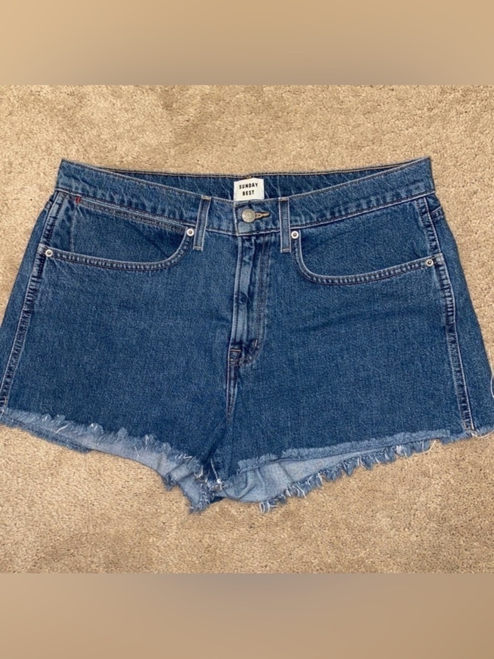 sunday best (aritzia) denim shorts size 32
